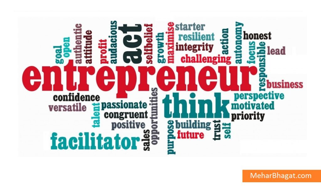 Entrepreneurial Success - Embrace Risk and Innovation - entrepreneur-define-mehar-bhagat