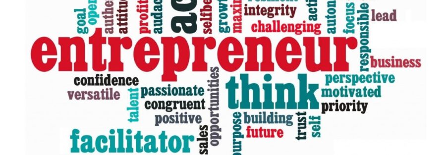 Entrepreneurial Success - Embrace Risk and Innovation - entrepreneur-define-mehar-bhagat